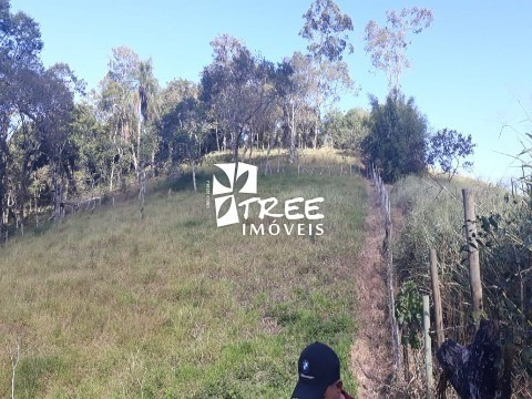 Imagem 3 de 15 de Venda De Terreno Em Santa Isabel Com A/t 27.600m² Com 2 Lagos Todo Cercado 70% Pastagem. - Te00814 - 69937338