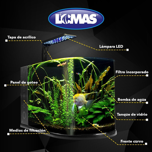 Imagen 4 de 4 de Acuario Equipado Pecera Con Lampara Led Y Filtro 12 Litros