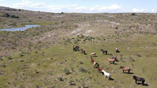 Imagen 6 de 13 de Chacra De 15 Ha En Barrio (ref: Atm-6807)