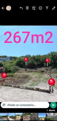 Imagen 3 de 14 de Terreno En El Tequesquitengo Morelos