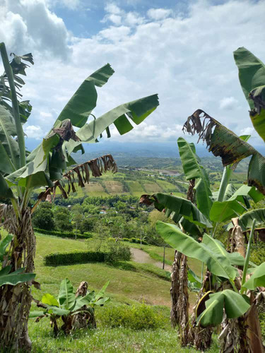 Venta Lote Las Margaritas, Caldas