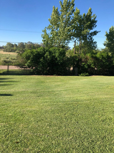 Alquiler Temporario Con Pileta Y Jardín