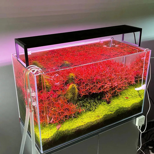 Chihiros Wrgb2 Slim 60 Cm Lámpara Para Acuario Luces Wrgb