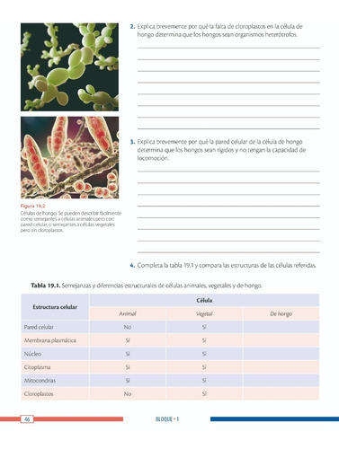 Ciencias Y Tecnología Biología 1 Editorial Trillas