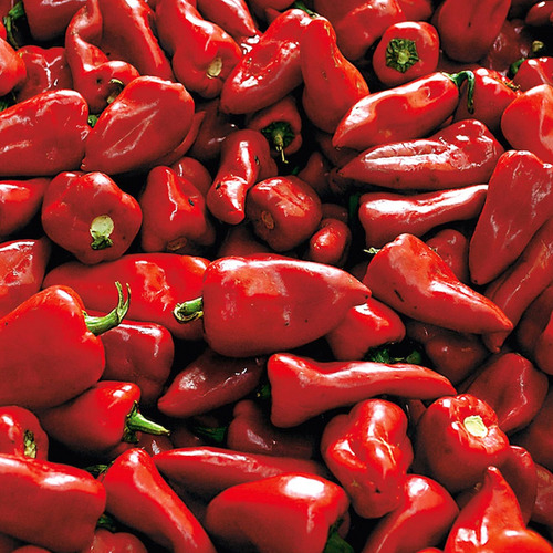 Morrones Enteros Siete Lagos Pimientos Pack X3 - Origen Peru
