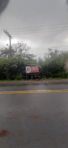 Imagem 1 de 7 de Area - Faxinalzinho - Ref: 34091 - V-34088