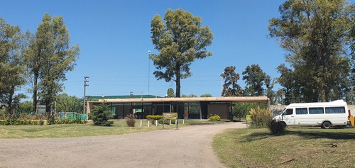 Imagen 5 de 14 de Vendo Casa Barrio Álvarez Del Bosque (oportunidad!!)