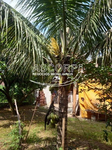 Imagem 17 de 30 de Chacara No Gran Park Residencial - Ch00066 - 71061359