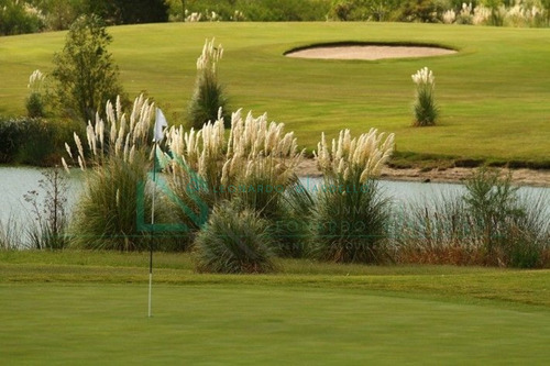 Imagen 4 de 29 de Carmelo - Carmelo Golf - Ref: 1046