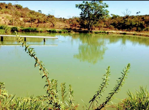 Imagem 10 de 13 de Fazenda De Dupra Aptidão Grão E Gado 250 Hectares Unaí 6.00.000,00 - 40140