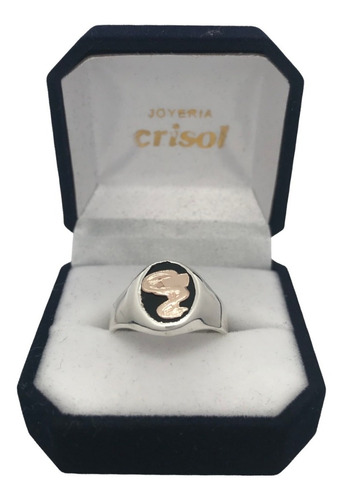 Anillo Sello De Plata C/logo De Químico Farmacéutico (s102)