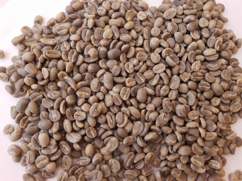 1 Tonelada De Cafe Verde En Oro Selección Europea