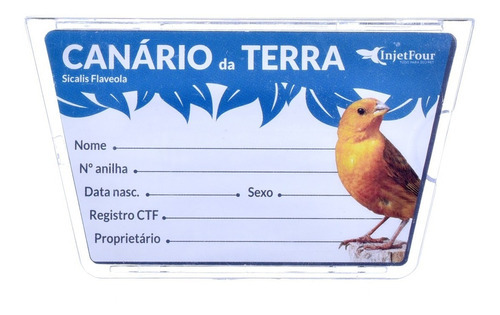 Kit 3 Unidades - Porta Nome - Acrílico - Canário Da Terra