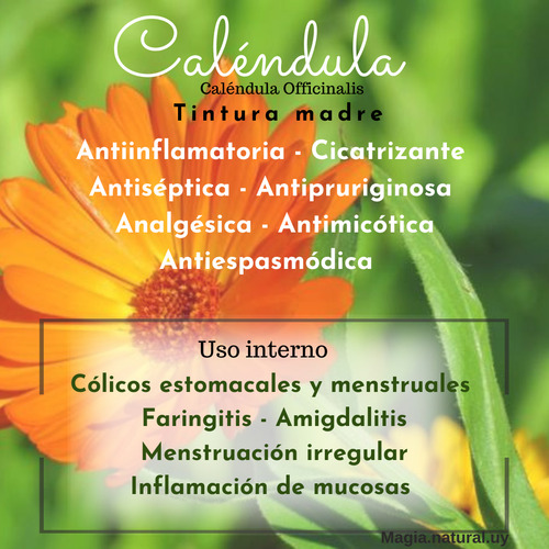 Tintura Madre De Caléndula.30 Ml.magia Natural. Homeopatía