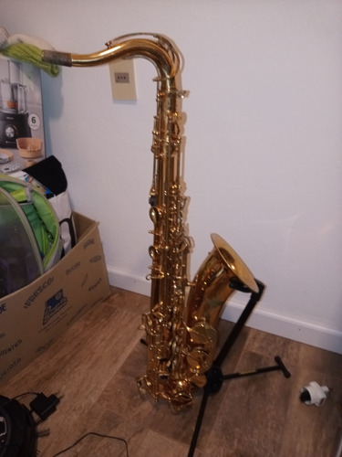 Saxofon Tenor Roy Benson (con Accesorios, Usado)