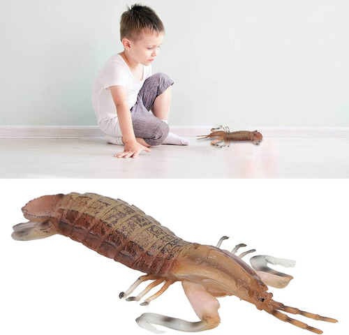 Camarón Falso, Modelo De Camarón De Plástico, Juguete De Cam