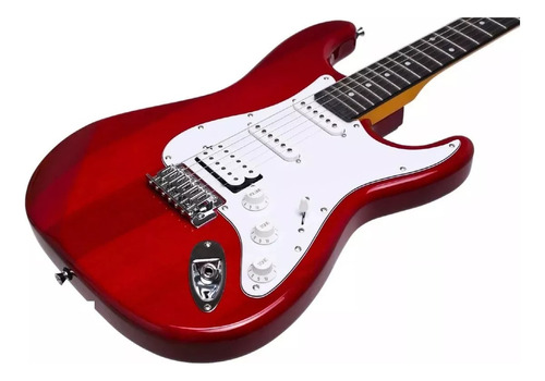 Guitarra Eléctrica Jay Turser Jt-301 Stratocaster Doble Mic