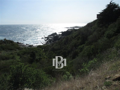 Imagen 2 de 7 de Sitio En Venta En Zapallar