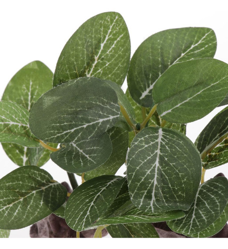 2 Plantas De Hierba De Agua Artificial De Resina Para Tanque