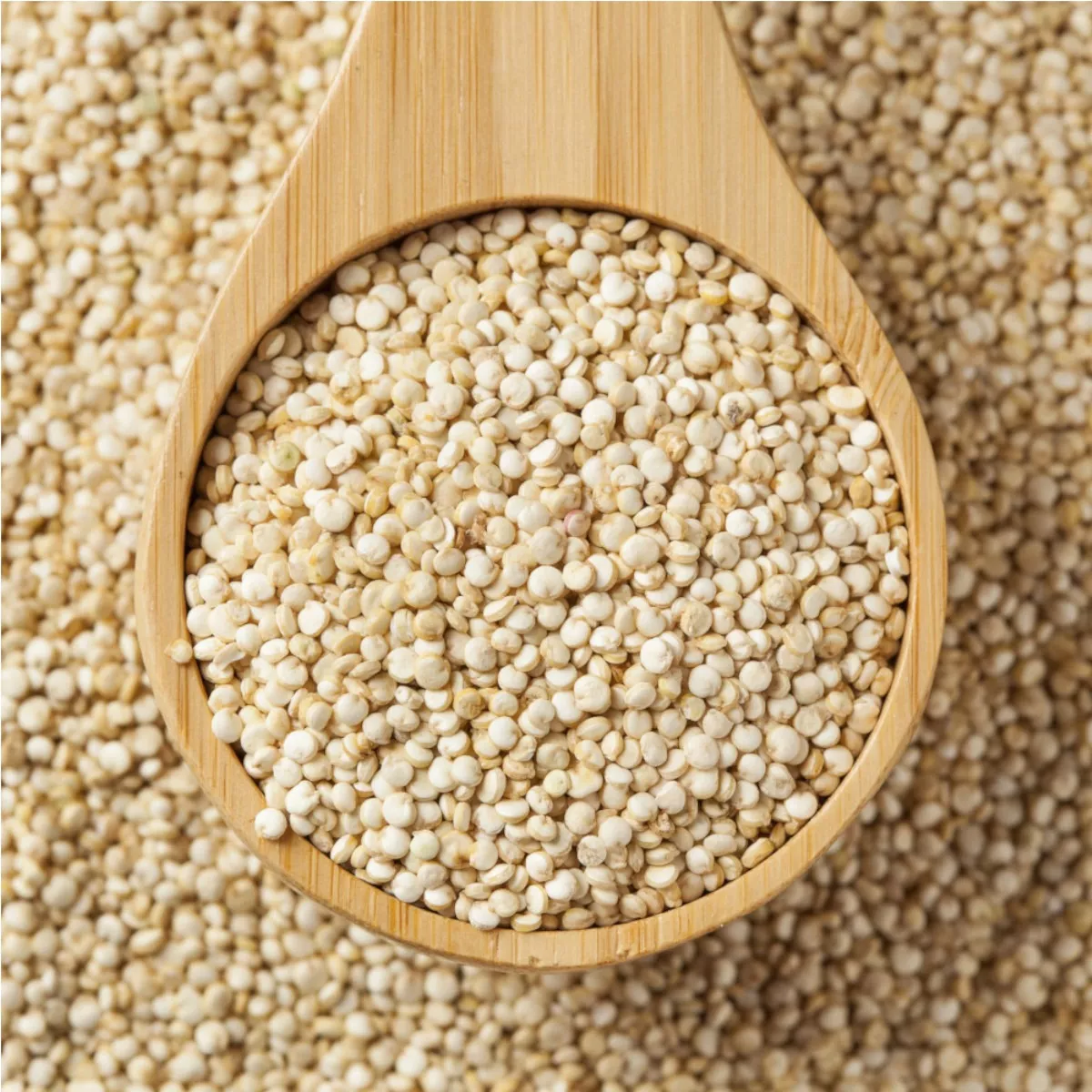 Terceira imagem para pesquisa de quinoa branca em grao r 18 90 kg