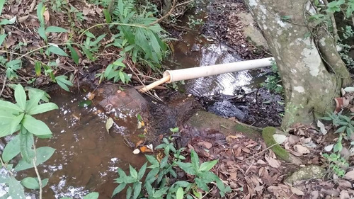 Vende-se Sítio Com Área Total De 14.6 Hectares