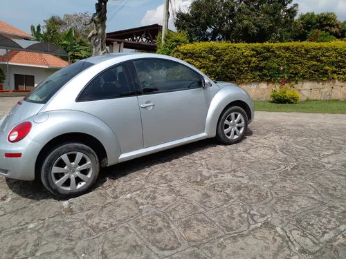 Beetle