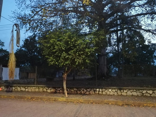 Imagen 16 de 17 de Terreno - La Piragua