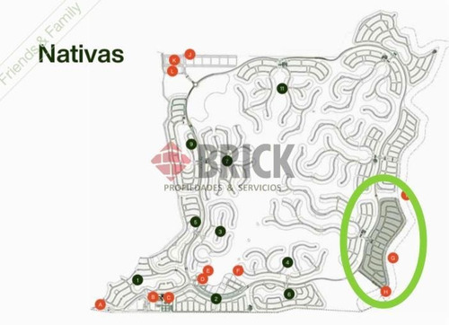Imagen 2 de 6 de Nativas - Lote Al Agua !