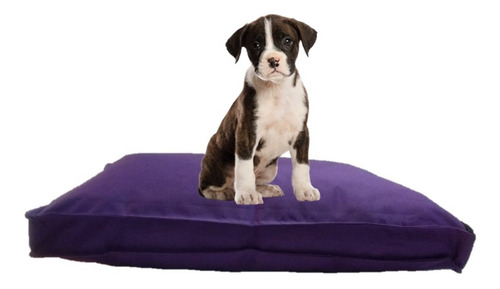 Imagen 1 de 4 de Colchón Liso Antidesgarro 70x50x8 Cama Perros Mascotas Gatos