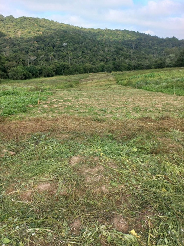 Imagem 11 de 15 de 11o- Terrenos Em Cotia-sp