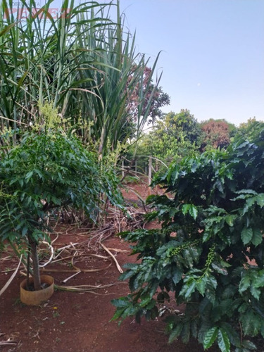 Imagem 22 de 22 de Chácaras_sítios_fazendas Para Venda - 13650.8059