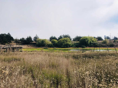 Pichilemu /punta De Lobos (74859)