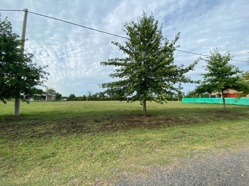 Lote En Ibarlucea Barrio Cerrado Las Casuarinas - Entrega Y Escritura Inmediata