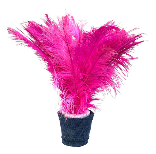 Plumas De Avestruz Palito Ideal P/ Trajes De Carnaval 100g Cor Mesclado Pink E Rosa