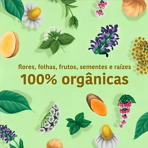 Chá Orgânico Acelera Metabolismo 2 Caixas 15 Sachês - Iamaní