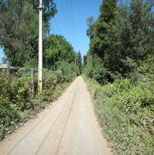 Imagen 6 de 7 de Camino Interior Colonia Bernardo O'higgins 1365 Lote B