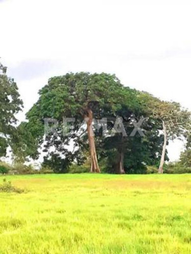 Imagen 10 de 15 de Finca En Venta Vía El Sur. Maturín (1)