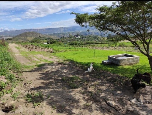 Imagen 2 de 4 de Hermosos Terrenos (chaquibamba-guayllabamba) Último Lote