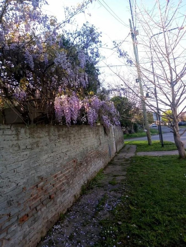 Imagen 5 de 18 de Casa - El Talar