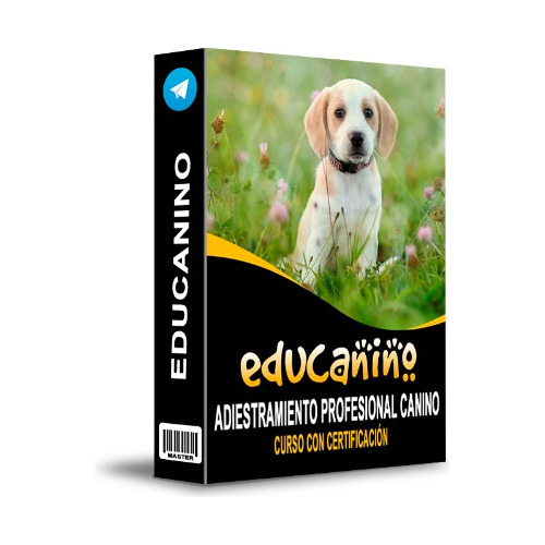 Curso Educacion Canina, Adiestrador Canino Curso Online