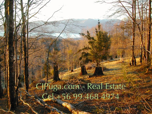 Parcela En Pucón En Venta. Amplias Vistas Al Lago Y Volcán