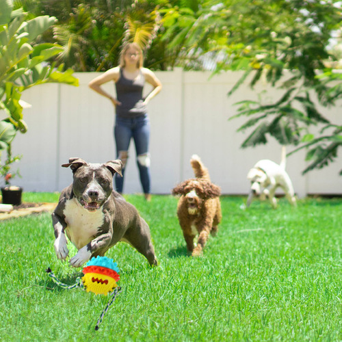Juguete Puppy Treat Para Masticar Perros, Limpieza De Mascot