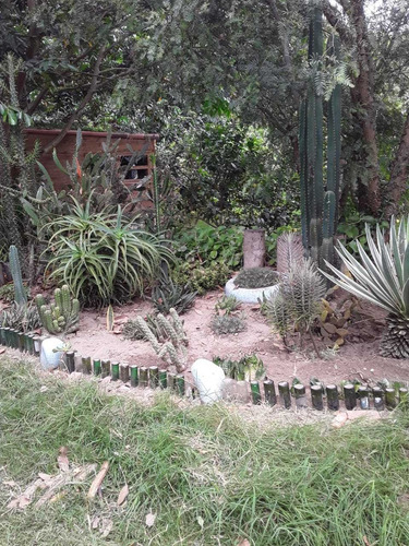 Imagen 4 de 8 de Vendo Hermosa Finca Vacacional