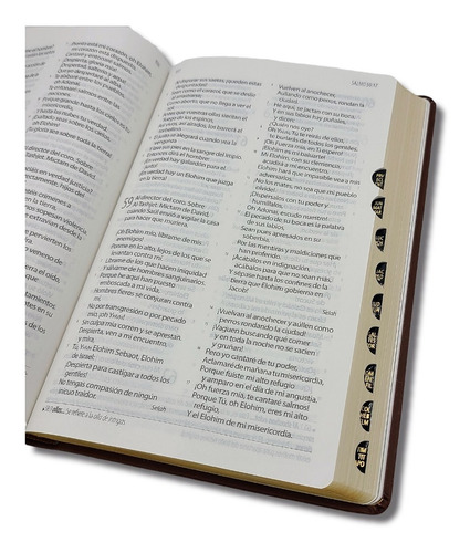 Imagen 7 de 8 de Biblia Textual Iv Edición Imit. Piel Negro Cierre E Indices