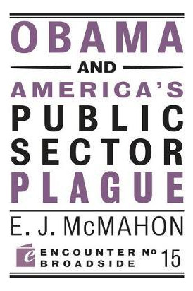 Libro Obama And America's Public Sector Plague - Edmund J...