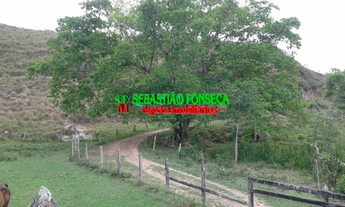 Imagem 2 de 15 de Fazenda Em Santa Branca 125 Alqueires - 805