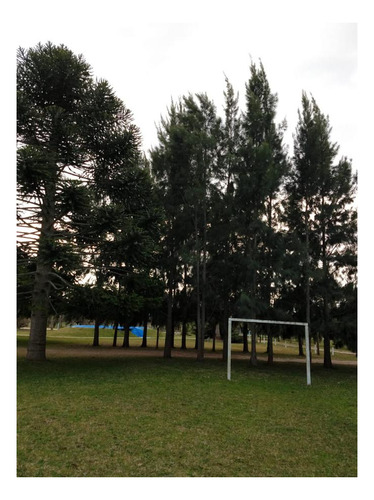 Imagen 8 de 27 de Campo Venta 3 Cabañas Pileta, Laguna, Cancha De Fútbol, Arbolada -1.8 Hectáreas - Magdalena