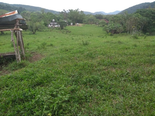 Imagem 28 de 30 de Fazenda - Fa00001 - 33289252