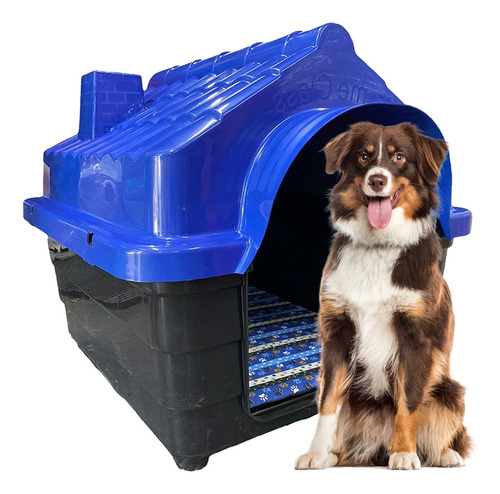 Casinha Plastica Cachorro Numero 5 Mec Cor Azul Desenho Liso