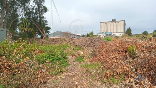 Imagen 12 de 14 de Gran Terreno Con Arroyo Y Casa De 2 Dormitorios En Las Piedras